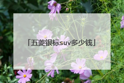 五菱银标suv多少钱