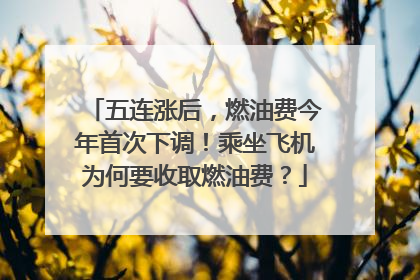 五连涨后，燃油费今年首次下调！乘坐飞机为何要收取燃油费？