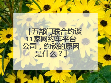 五部门联合约谈11家网约车平台公司，约谈的原因是什么？