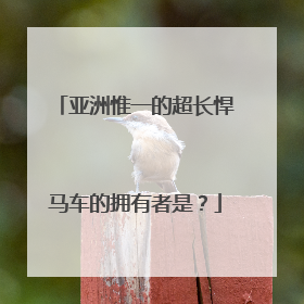 亚洲惟一的超长悍马车的拥有者是？