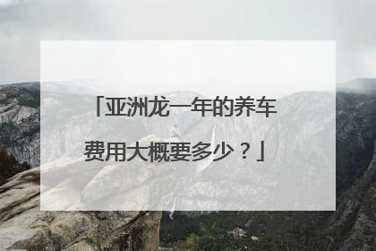 亚洲龙一年的养车费用大概要多少？