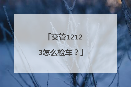 交管12123怎么检车？