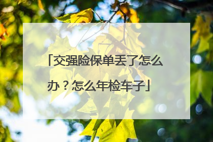 交强险保单丢了怎么办？怎么年检车子