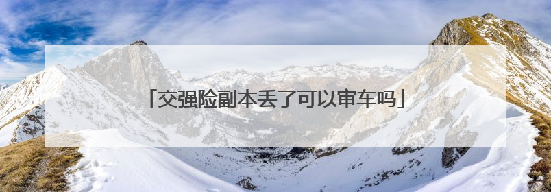 交强险副本丢了可以审车吗