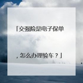 交强险是电子保单，怎么办理验车？