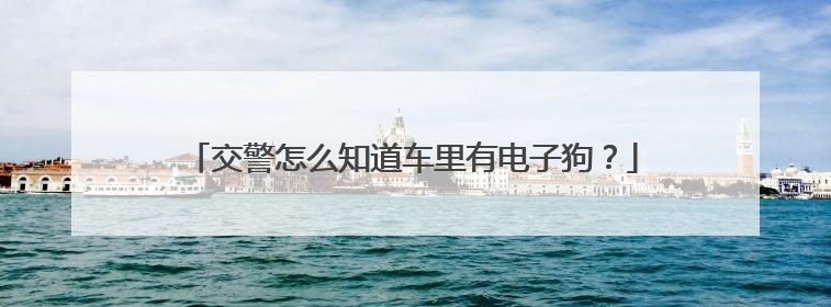 交警怎么知道车里有电子狗？