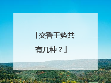 交警手势共有几种？