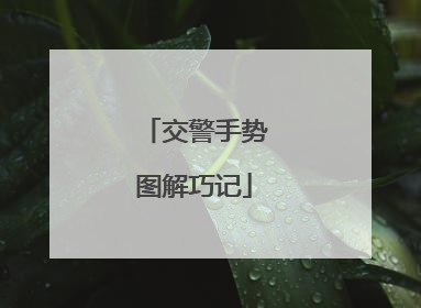 交警手势图解巧记
