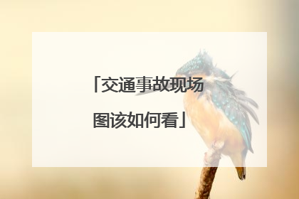 交通事故现场图该如何看