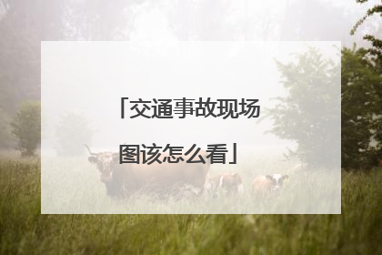 交通事故现场图该怎么看