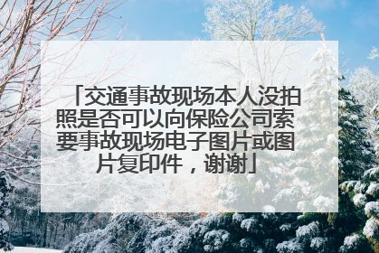 交通事故现场本人没拍照是否可以向保险公司索要事故现场电子图片或图片复印件，谢谢