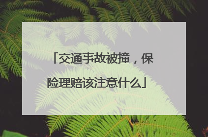 交通事故被撞，保险理赔该注意什么