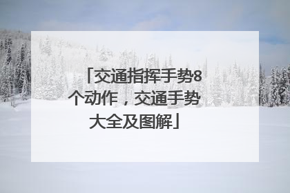 交通指挥手势8个动作，交通手势大全及图解
