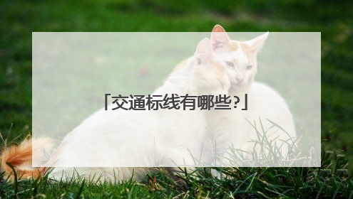 交通标线有哪些?