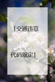 交通违章代码规定