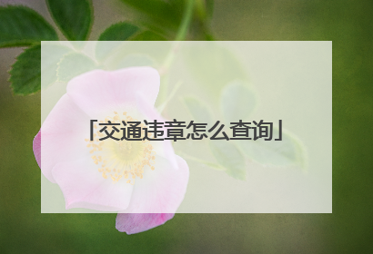 交通违章怎么查询