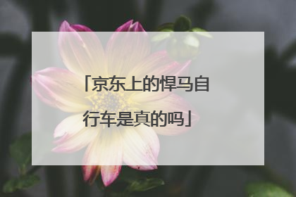 京东上的悍马自行车是真的吗