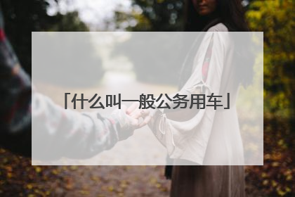 什么叫一般公务用车