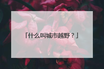 什么叫城市越野？