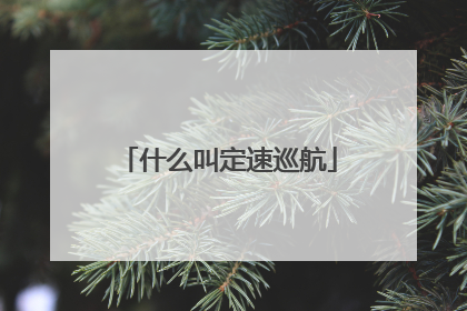 什么叫定速巡航