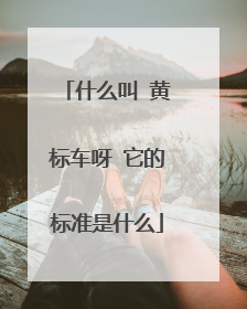 什么叫 黄标车呀 它的标准是什么