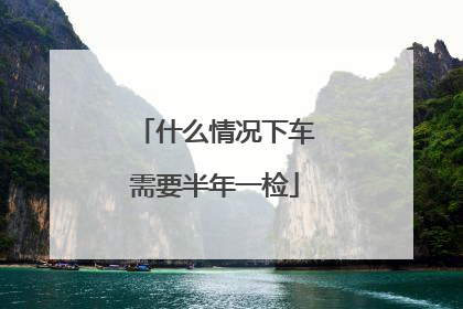 什么情况下车需要半年一检