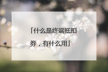 什么是终端抵扣券，有什么用