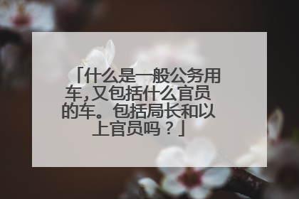 什么是一般公务用车,又包括什么官员的车。包括局长和以上官员吗？