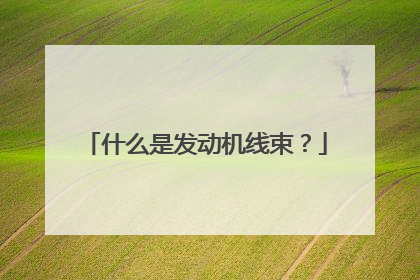 什么是发动机线束？