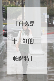 什么是十二缸的帕萨特