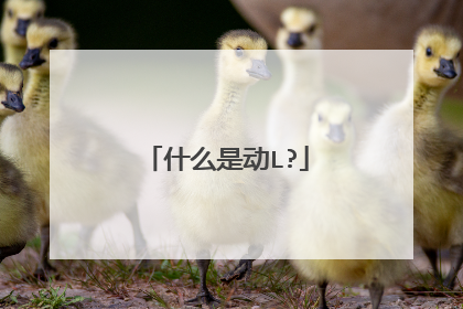 什么是动L?