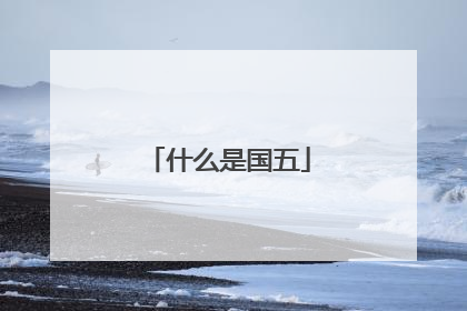 什么是国五