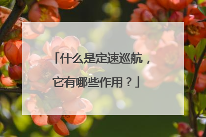 什么是定速巡航，它有哪些作用？