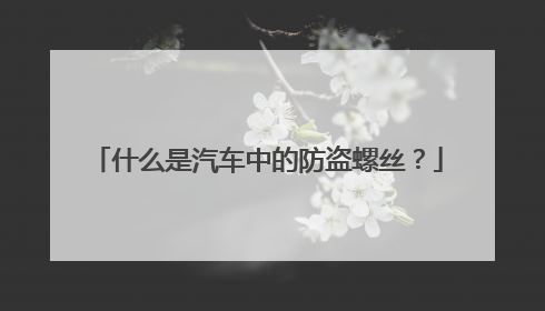 什么是汽车中的防盗螺丝？