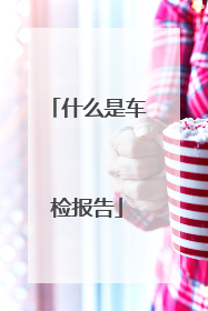 什么是车检报告