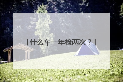什么车一年检两次？
