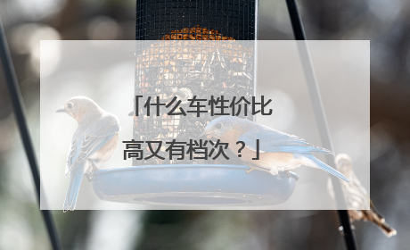 什么车性价比高又有档次？