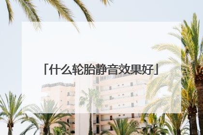 什么轮胎静音效果好