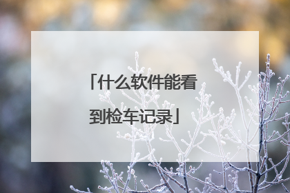 什么软件能看到检车记录