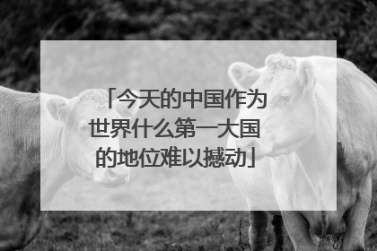 今天的中国作为世界什么第一大国的地位难以撼动