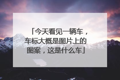 今天看见一辆车，车标大概是图片上的图案，这是什么车
