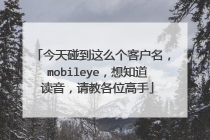 今天碰到这么个客户名，mobileye，想知道读音，请教各位高手