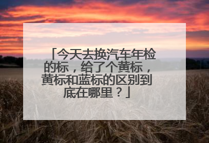 今天去换汽车年检的标，给了个黄标，黄标和蓝标的区别到底在哪里？