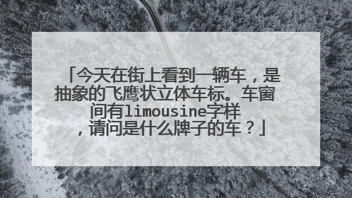 今天在街上看到一辆车，是抽象的飞鹰状立体车标。车窗间有limousine字样，请问是什么牌子的车？