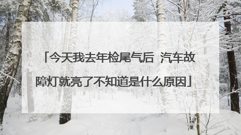 今天我去年检尾气后 汽车故障灯就亮了不知道是什么原因