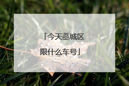 今天藁城区限什么车号