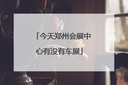今天郑州会展中心有没有车展