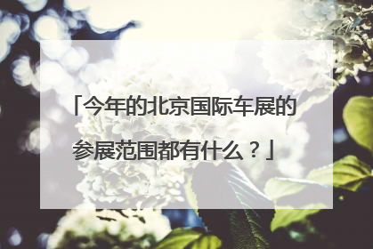 今年的北京国际车展的参展范围都有什么？