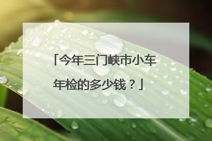 今年三门峡市小车年检的多少钱？