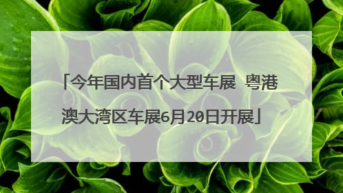 今年国内首个大型车展 粤港澳大湾区车展6月20日开展